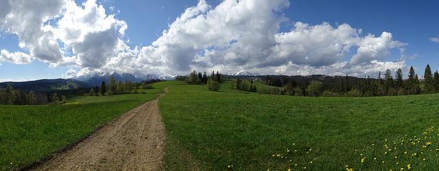 Een makkelijk begaanbaar pad in de Hoge Tatra