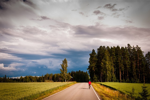 Šumava