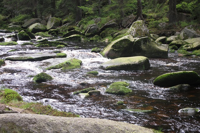 Rivier door het Boheemse Woud